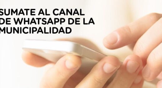 canal whatsapp municipal