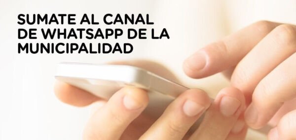 canal whatsapp municipal
