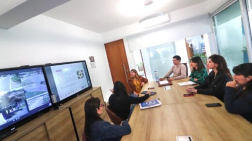 programa adultos mayores