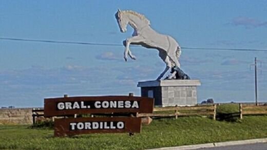 tordillo