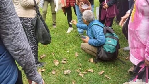 image 2025 04 11T203849.473