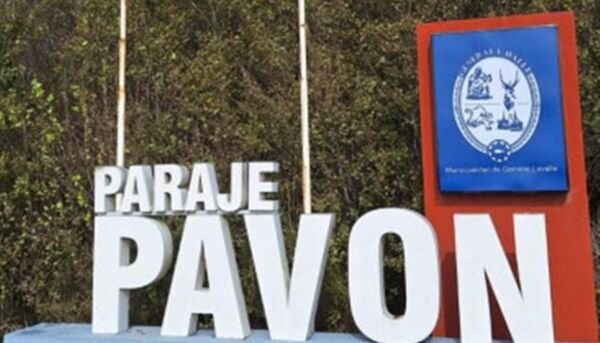 pavon 1