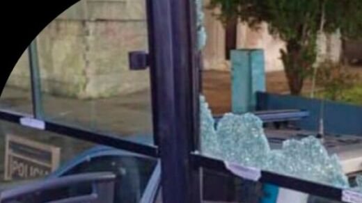colectivo sc 2025