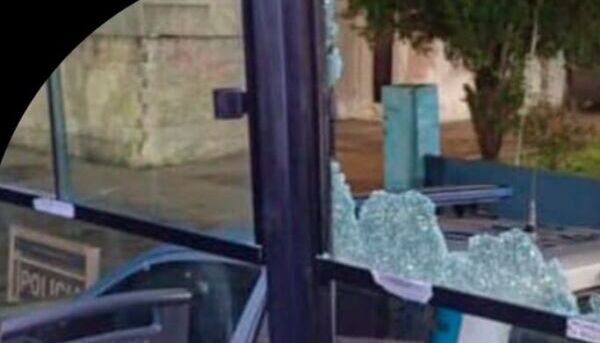 colectivo sc 2025