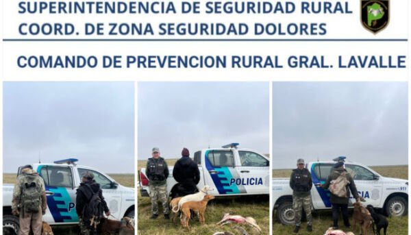 caza gl