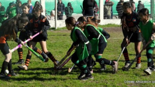 hockey cosme