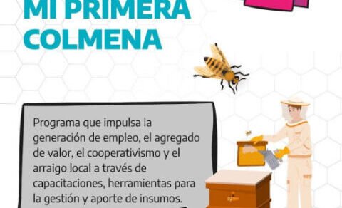 colmena
