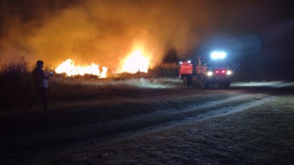 WhatsApp Image 2026 01 25 at 21.41.22