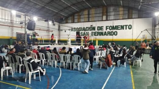 box en fomento s bdo
