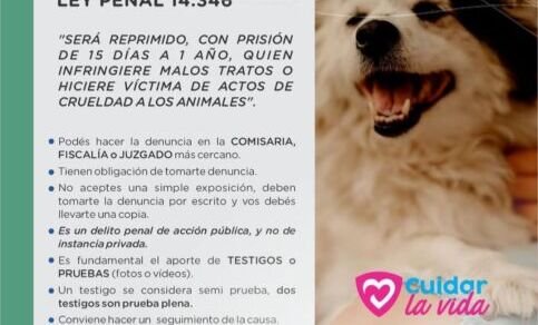 maltrato