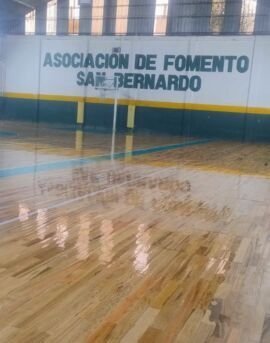 fomento basquet