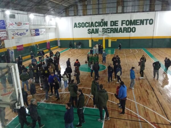 fomento sb