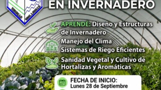 invernadero pavon