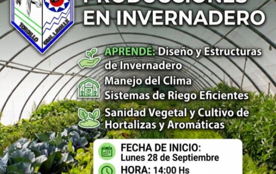 invernadero pavon