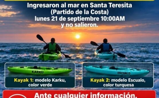 alerta busqueda
