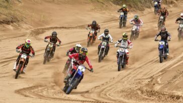 arena serie 1